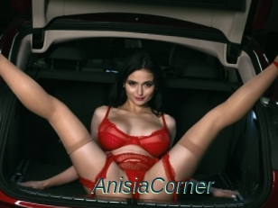 AnisiaCorner