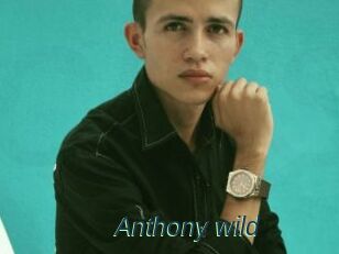 Anthony_wild