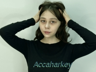 Accaharkey