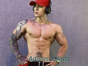 Adamscollims