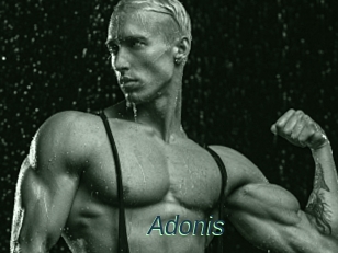 Adonis