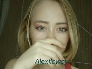 Alexflower