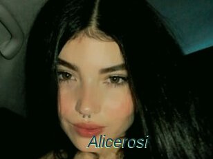 Alicerosi