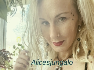 Alicesjungalo