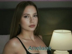 Ameliatek