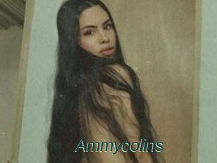 Ammycolins