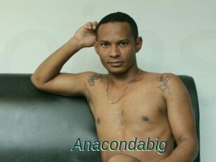 Anacondabig