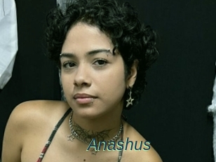 Anashus