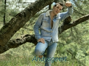 Andysgeert