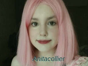 Anitacollier