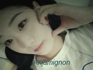 Anjamignon