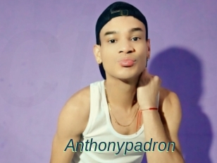 Anthonypadron