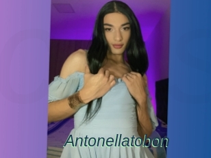 Antonellatobon