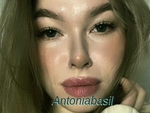 Antoniabasil