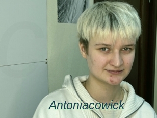 Antoniacowick