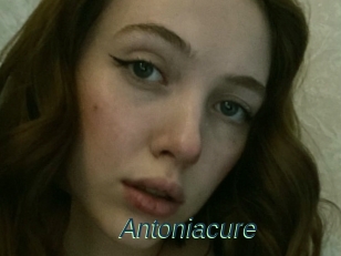 Antoniacure