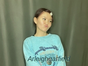 Arleighgarfield