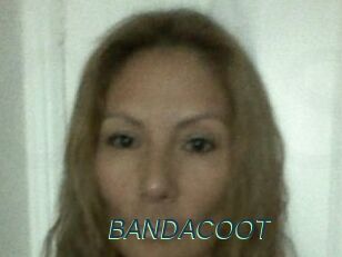 BANDACOOT