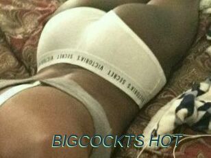 BIGCOCKTS_HOT