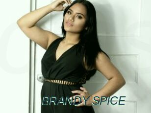 BRANDY_SPICE