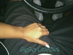 BigBoyLittleDick