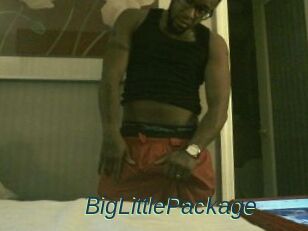 BigLittlePackage