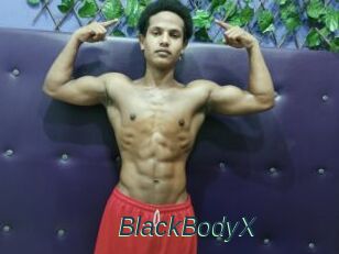 BlackBodyX