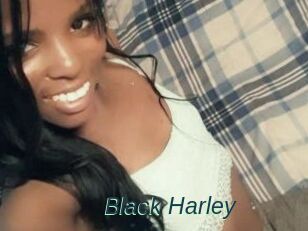 Black_Harley