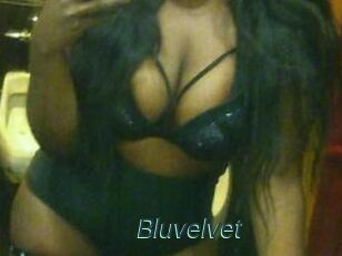 Bluvelvet