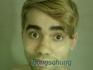 Bongsohung