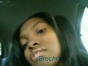 Breche