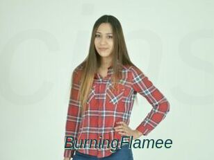 BurningFlamee