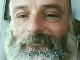 Bearpig001