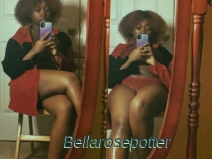 Bellarosepotter