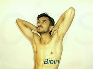 Bibin