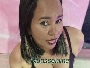 Bigasselaine