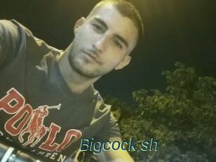 Bigcock_sh