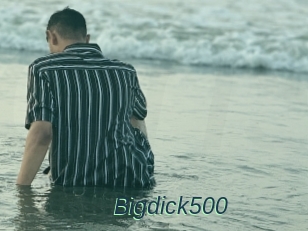 Bigdick500