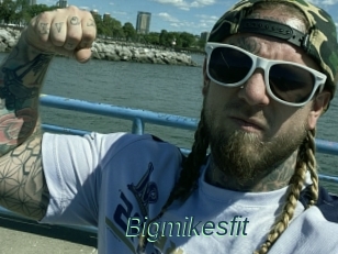 Bigmikesfit