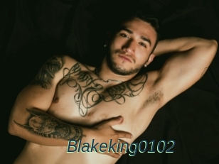 Blakeking0102