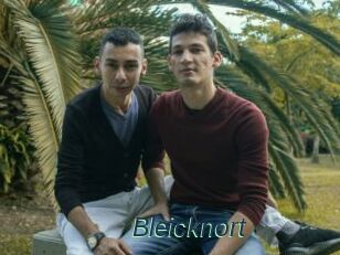 Bleicknort