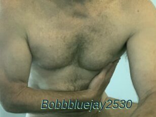 Bobbbluejay2530