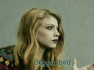 Boggartbird