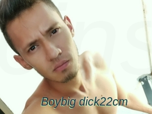 Boybig_dick22cm