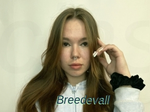 Breedevall