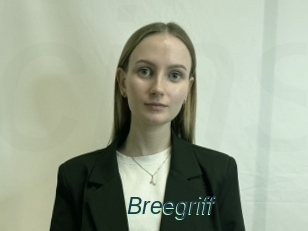 Breegriff