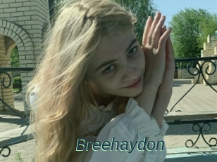 Breehaydon