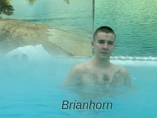 Brianhorn