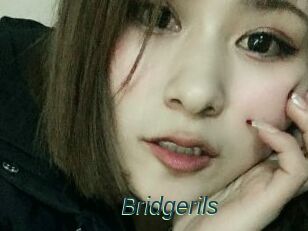 Bridgerils