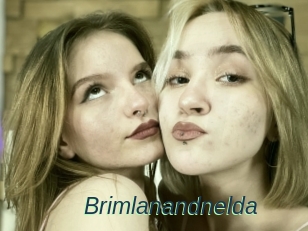 Brimlanandnelda